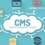 Enterprise CMS Website Developement